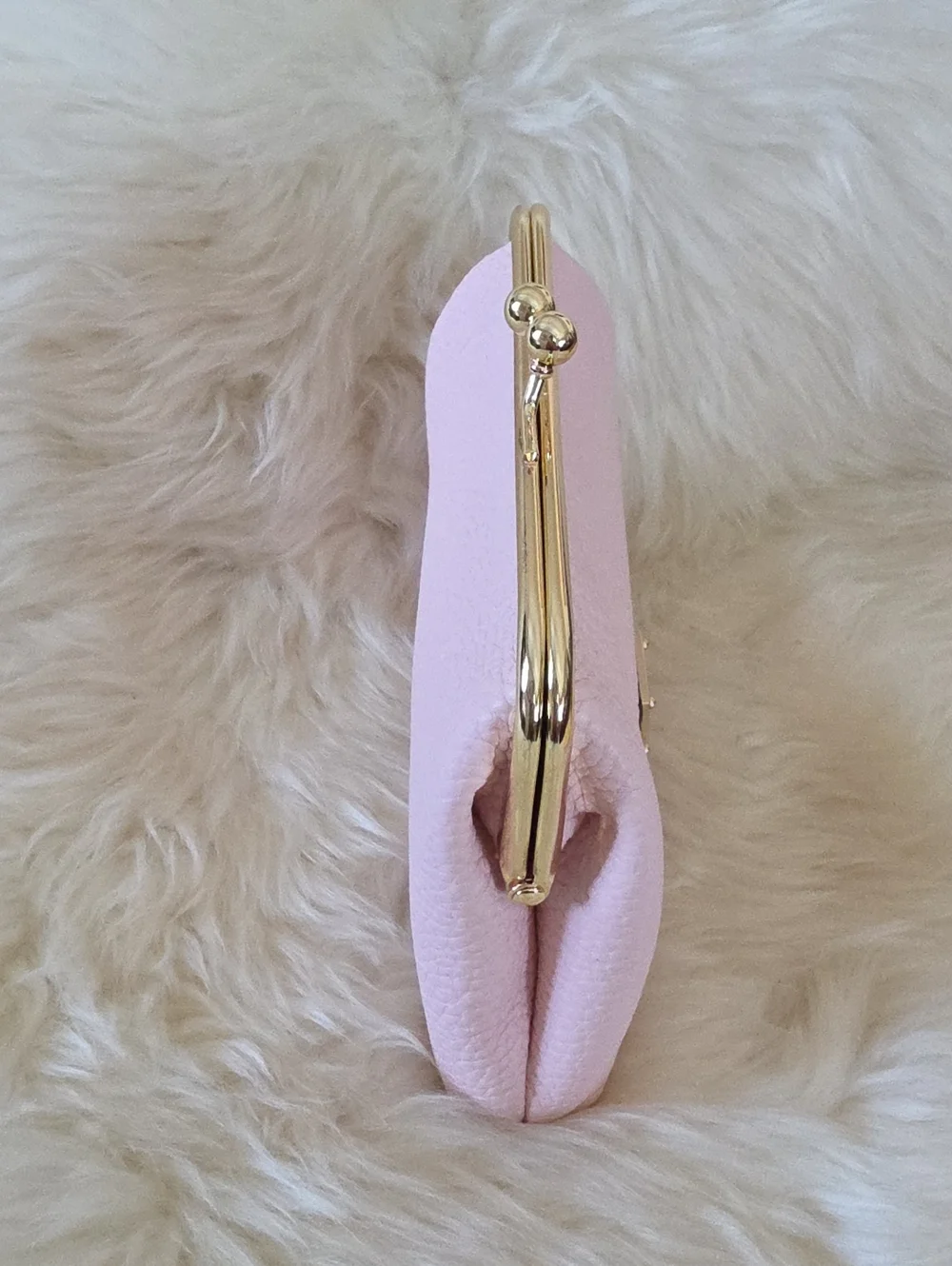 NWT Dooney & Bourke Pink Blush Leather Large Kiss-Lock Framed Purse 🩷💋🎁